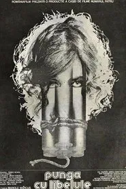 Poster do filme The Dragonfly Bag