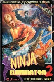 Ninja Eliminator 2: Quest of the Magic Ninja Crystal movie poster