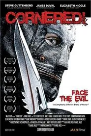 Cornered! movie poster