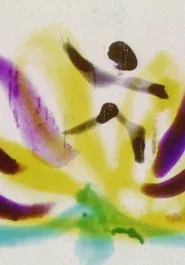 Calypso movie poster