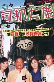 Hey Big Brother tv show poster