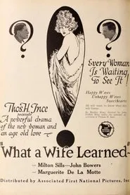 Poster do filme What a Wife Learned