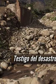Testigos de la tragedia tv show poster
