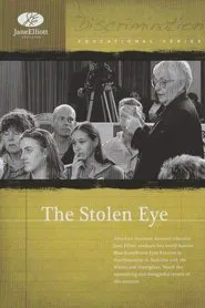 The Stolen Eye movie poster