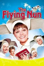 The Flying Nun tv show poster