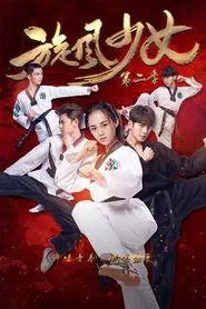 旋风少女2 tv show poster