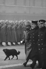 Paget's Horse. Imperial Yeomanry Reviewed by HRH Prince of Wales movie poster