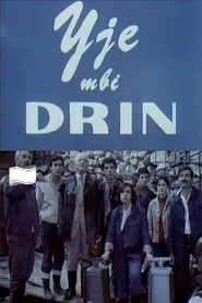 Stars Over the River Drin movie poster