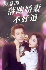 Li Yan's Wife Is Not Easy to Chase tv show poster