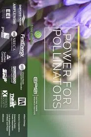 Power for Pollinators movie poster