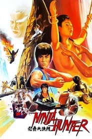 Poster do filme Ninja Hunter