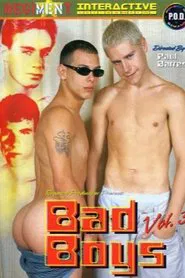 Bad Boys 3 movie poster