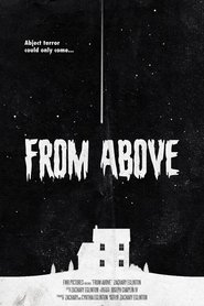 From Above movie poster