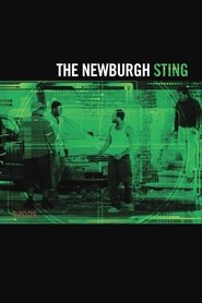 The Newburgh Sting movie poster