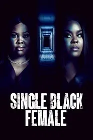 Single Black Female movie poster
