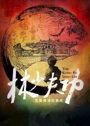 功夫少林 tv show poster