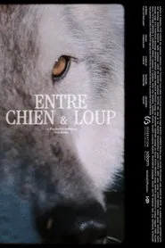 ENTRE CHIEN & LOUP movie poster