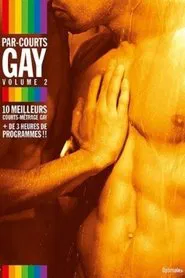 Par-courts Gay, Volume 2 movie poster