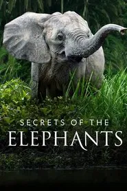 Secrets of the Elephants tv show poster