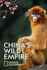 China's Wild Empire tv show poster