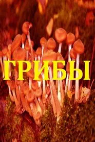 Mushrooms movie poster