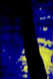 Poster do filme Alone At Sea, Under Our Tree