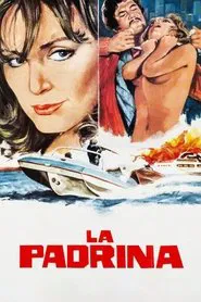 Lady Dynamite movie poster