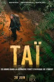 TAÏ: 33 days in the last primary West African forest movie poster