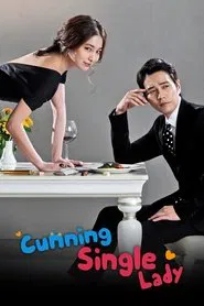 Cunning Single Lady tv show poster