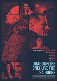 Poster do filme Dragonfiles Only Live for 24 Hours