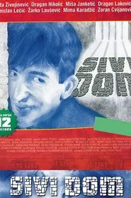 Grey Home tv show poster