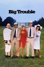 Poster do filme Problemas em Dobro