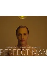 Perfect Man movie poster