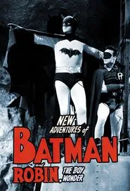 Batman and Robin tv show poster