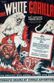 Poster do filme The White Gorilla