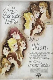 The Merry Wives of Vienna movie poster