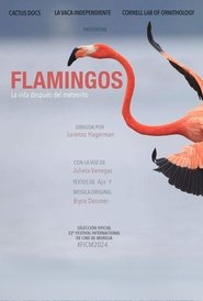 Flamingos movie poster