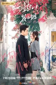 Stop! Miss Hua tv show poster
