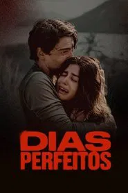 Perfect Days tv show poster