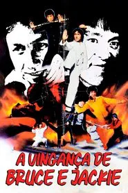 Poster do filme A Vingança de Bruce e Jackie