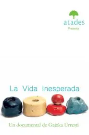 Poster do filme La vida inesperada