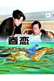 Poster do filme 眷恋