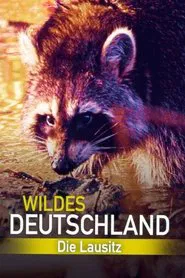 Wild Germany: Exploring Lusatia movie poster