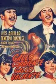 Gallo corriente, gallo valiente movie poster