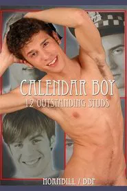 Poster do filme Calendar Boy