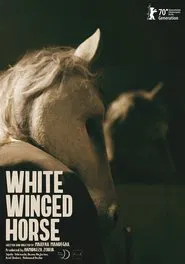 White Winged Horse movie poster