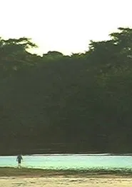 Poster do filme Pathway