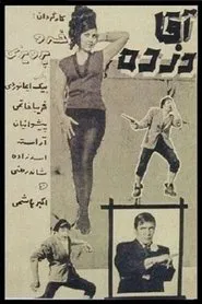 Mr. Thief movie poster