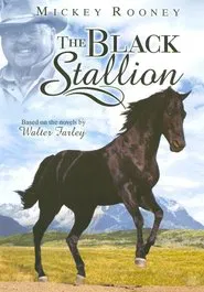 Adventures of the Black Stallion movie poster