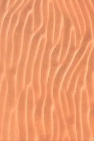 Poster do filme Oasis of Murals